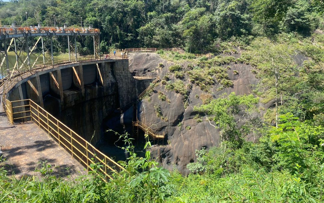 SEEL Engenharia inicia construção de nova usina de energia renovável